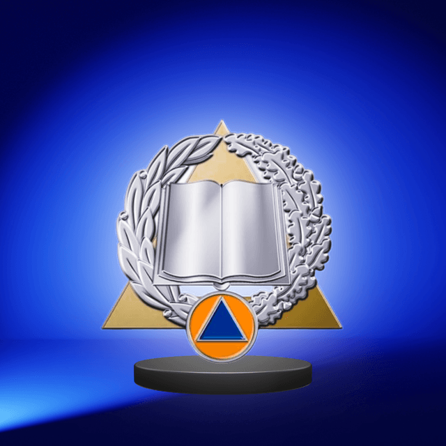 Insigne formateur argent