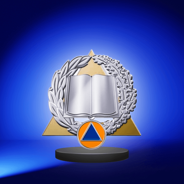 Insigne formateur argent